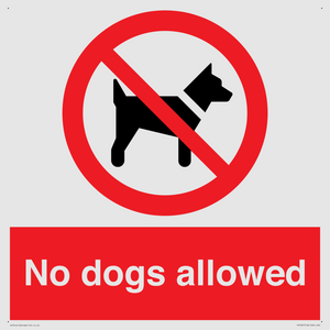 No dogs allowed